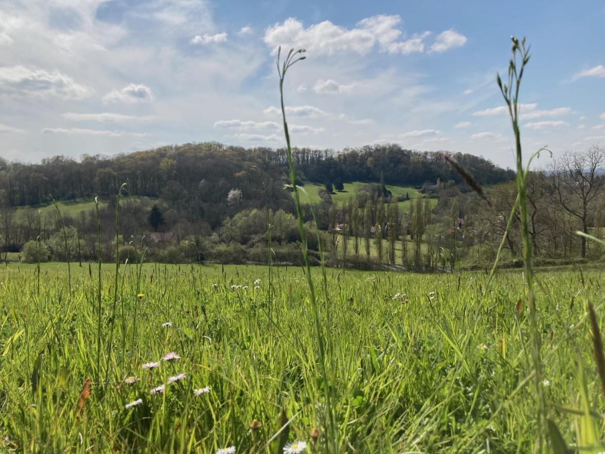 Domaine Labouroume Otel Salies-de-Béarn Dış mekan fotoğraf
