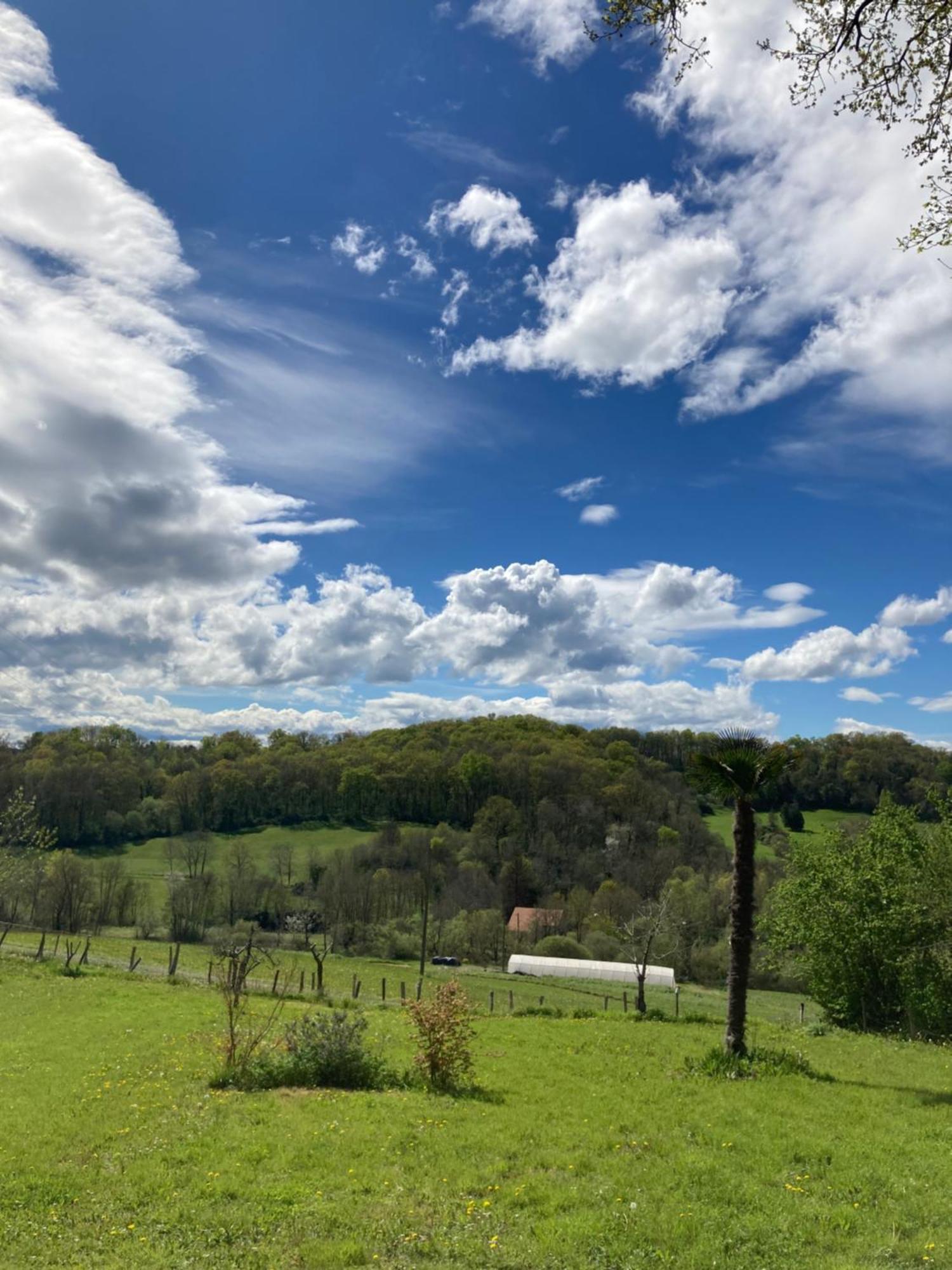 Domaine Labouroume Otel Salies-de-Béarn Dış mekan fotoğraf