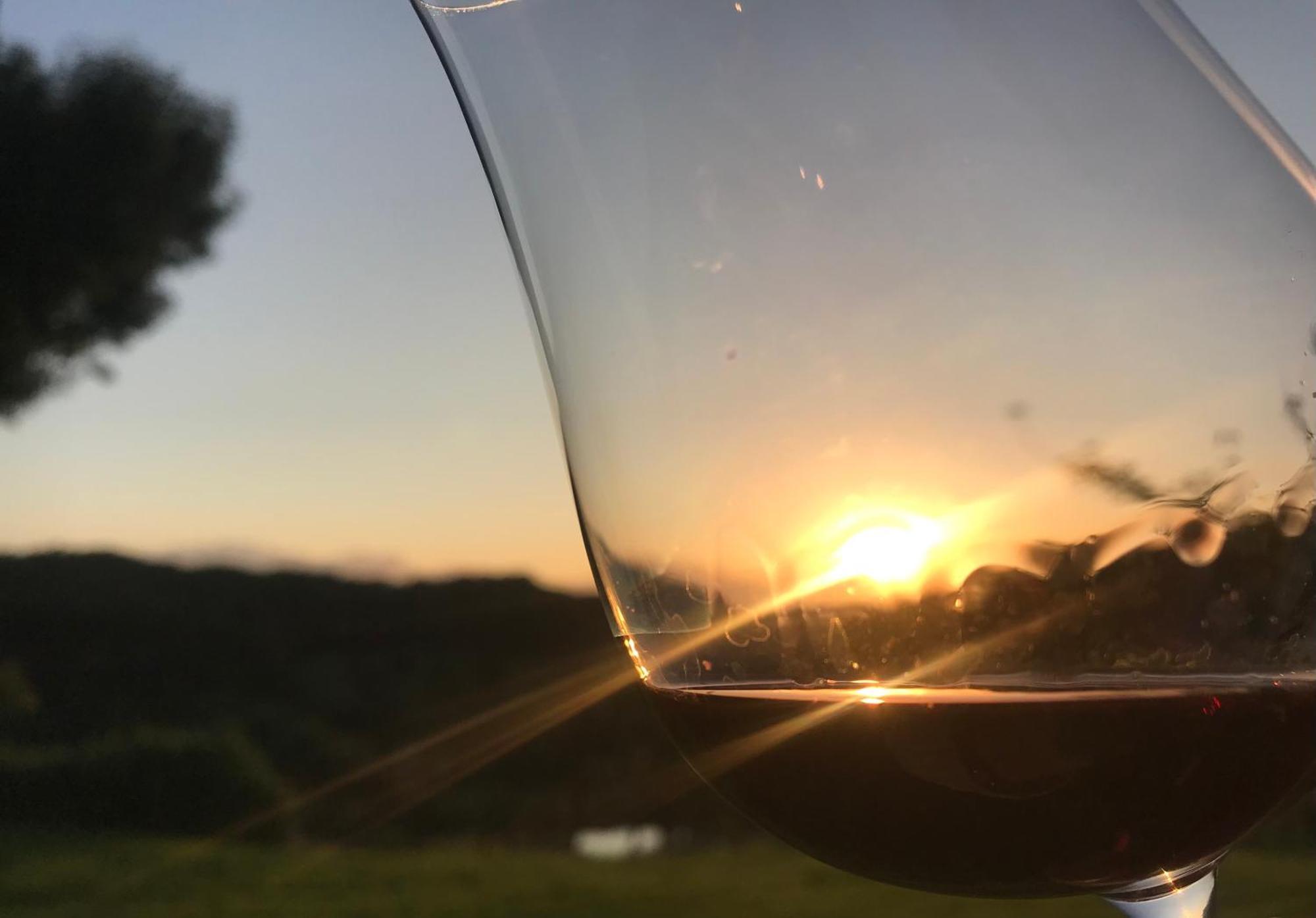 Domaine Labouroume Otel Salies-de-Béarn Dış mekan fotoğraf